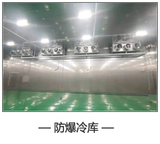 防爆冷庫(kù).jpg 防爆冷庫(kù).jpg