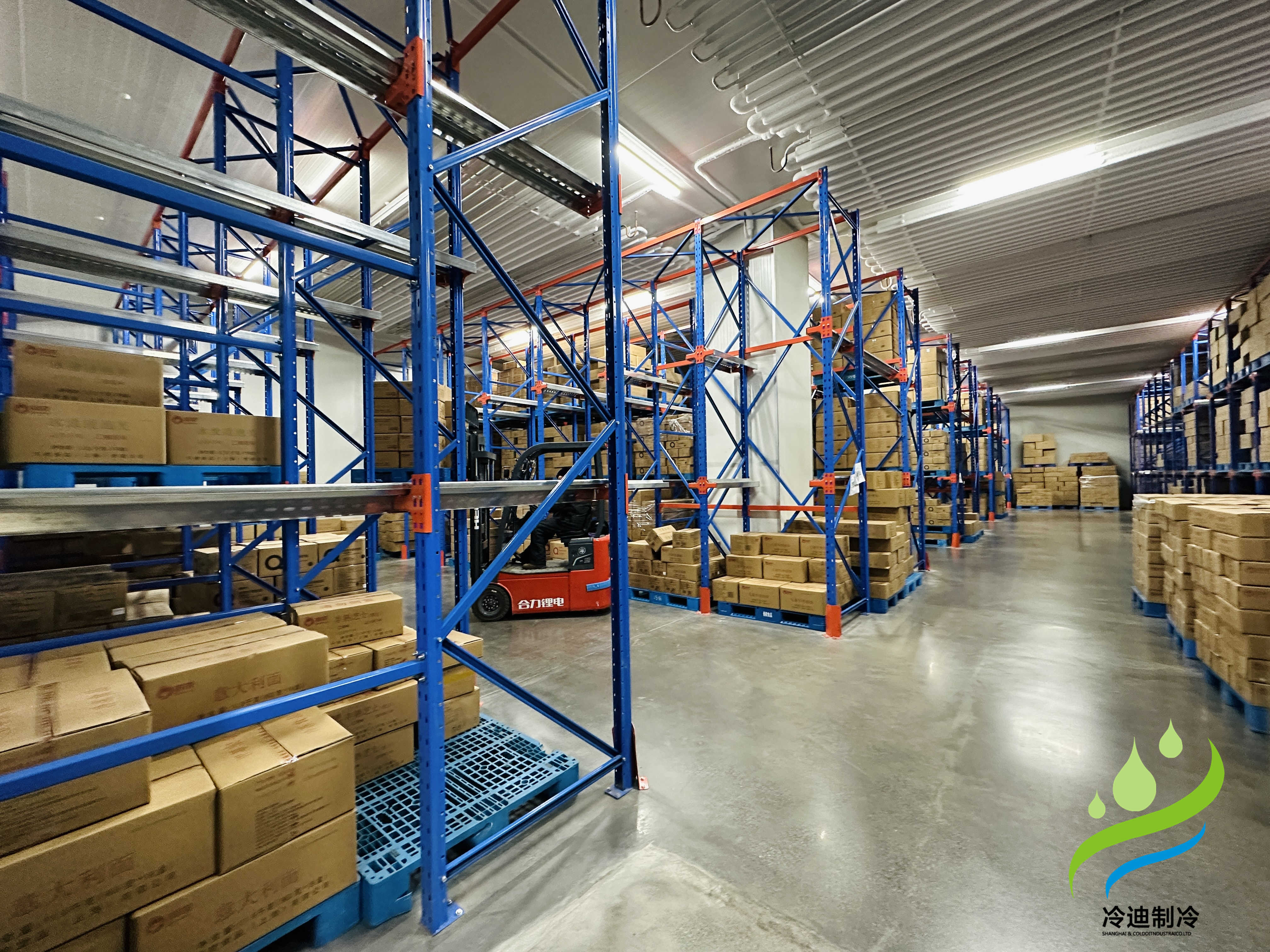 堅(jiān)果冷藏庫造價(jià)