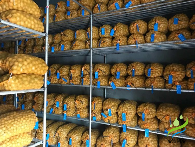 建造100噸土豆冷庫面積及冷庫造價(jià)多少錢？