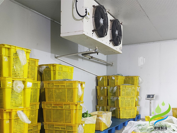 2025年冷庫補(bǔ)貼政策解讀預(yù)測(cè)